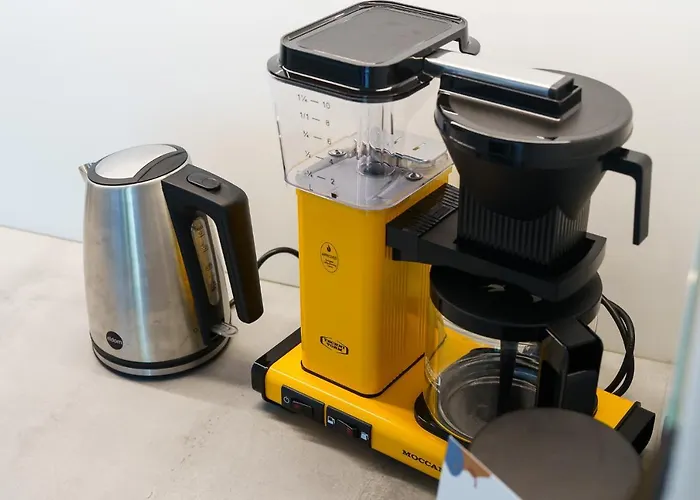 Surfingbird * 드지비르지노