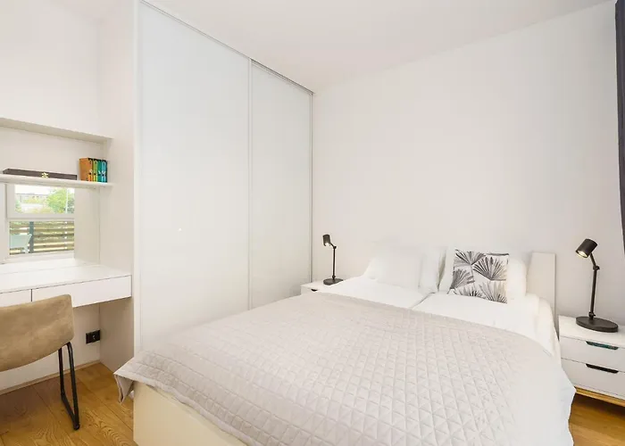 Surfingbird 드지비르지노