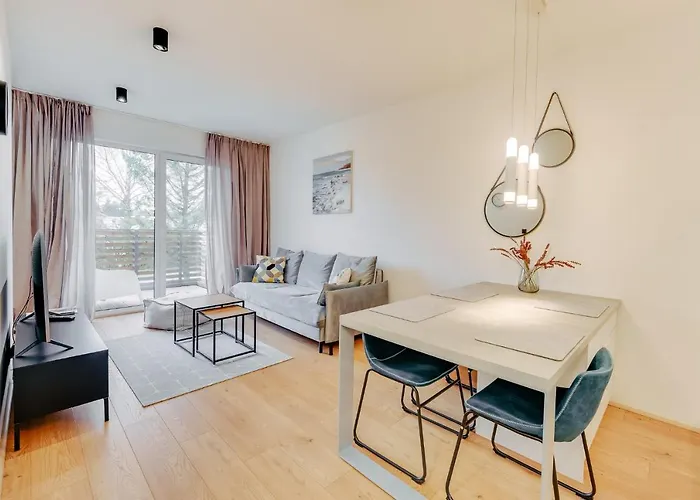 Surfingbird * 드지비르지노