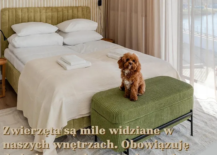 아파트 Surfingbird *